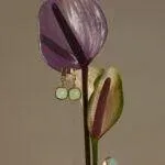 Unikatowa Biżuteria Motyle