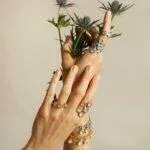 motyle_3T7A0149 copy (Copy)