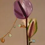 motyle_3T7A0374 copy (Copy) (2)