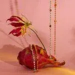 motyle_3T7A9901 copy (Copy)