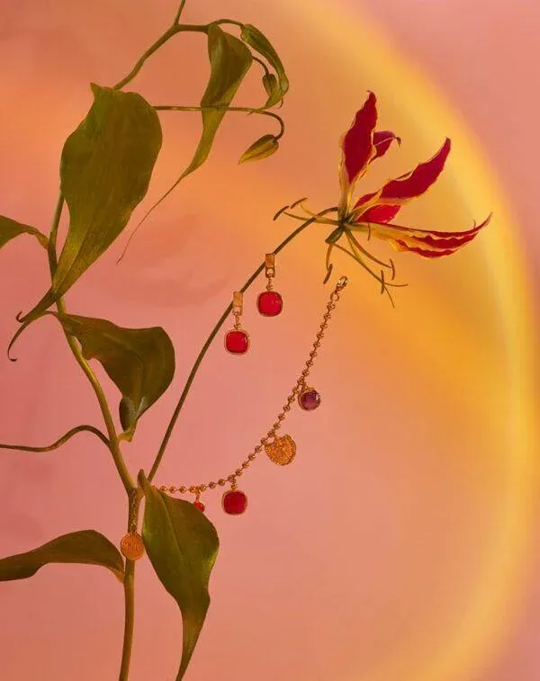 motyle_3T7A9943 copy (Copy)